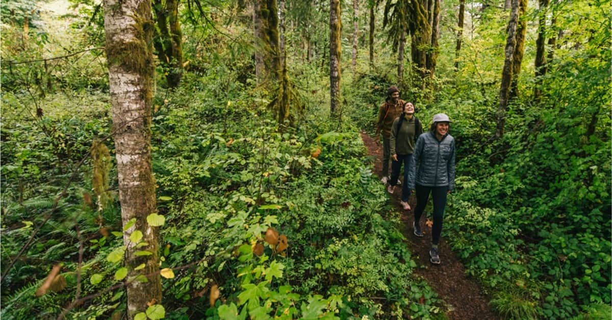 070674fd99322921359cd75baa1c1caf77483308