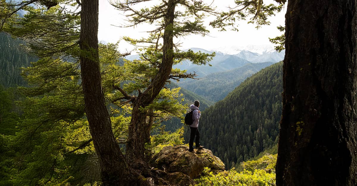 42142d84a3a196161921f751fffa65b31b551c6e