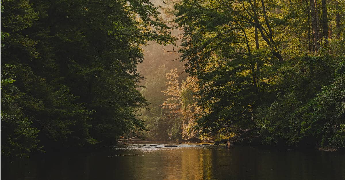 b72d6d67d64c98fab82de25812f9d2d56d5847ef